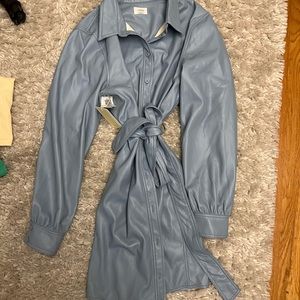 Aritzia Dune Blue leather dress